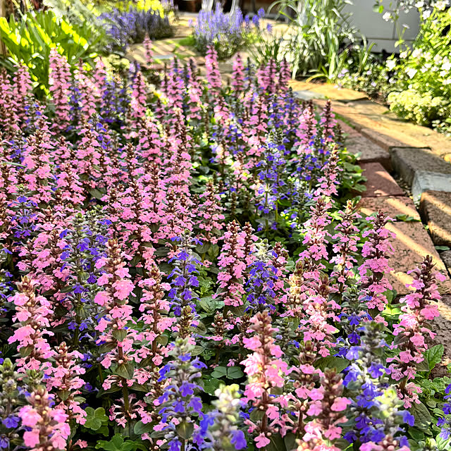 kyoko1124koさんの実例写真