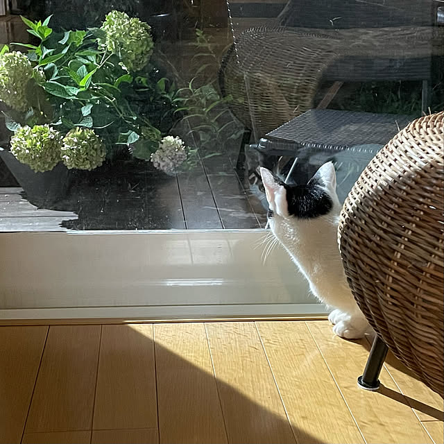 nobikoさんの実例写真