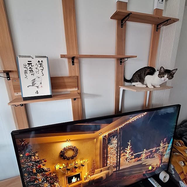 akimameさんの実例写真