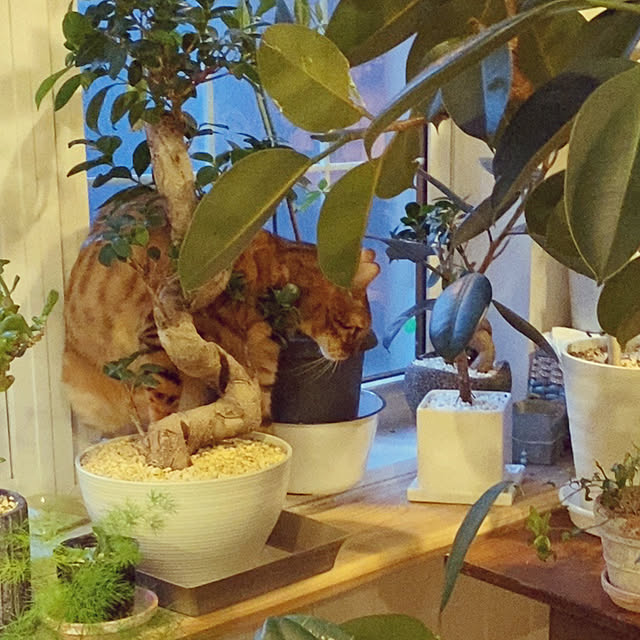 jamさんの部屋