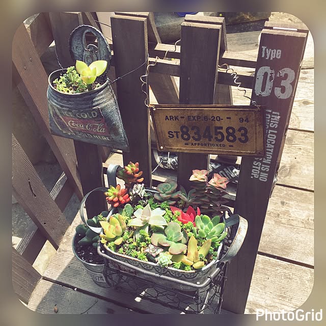 tamさんの実例写真