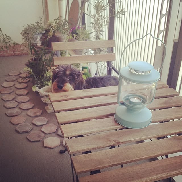 asukaさんの実例写真