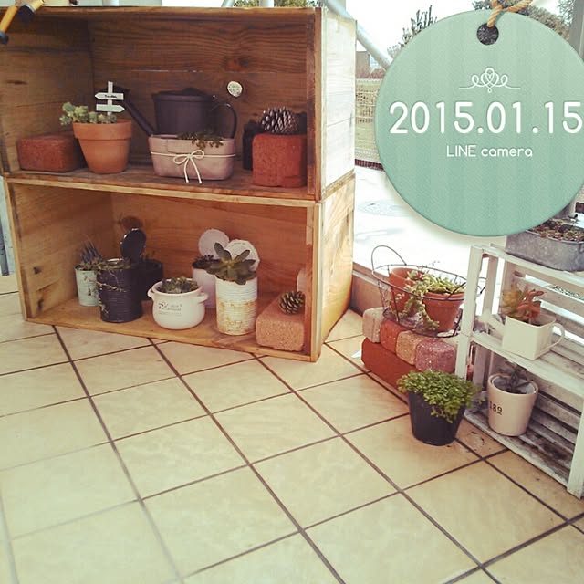 rinさんの実例写真