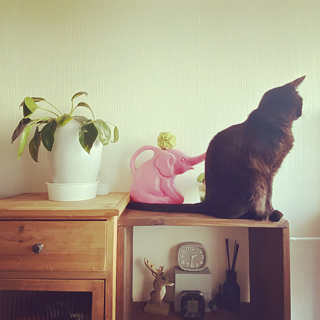 chinaさんの実例写真