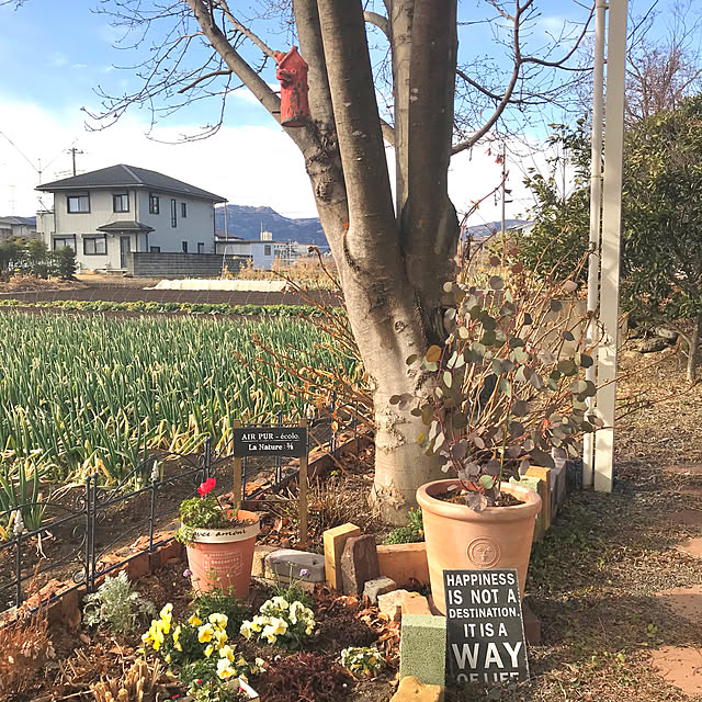 oyoさんの実例写真