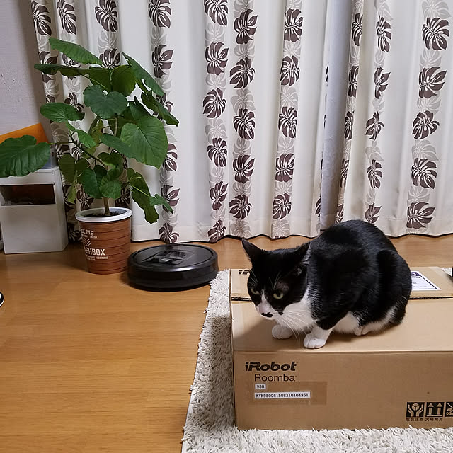 Kinanさんの実例写真