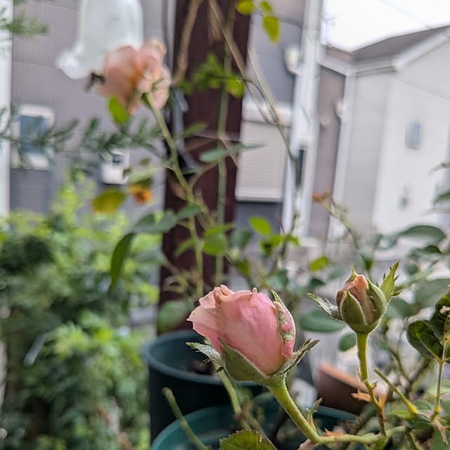 kazuさんの部屋