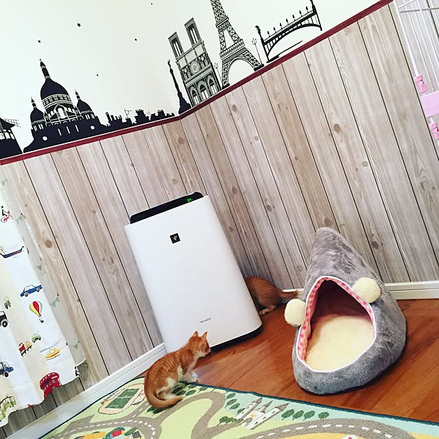 Mi-Koさんの実例写真