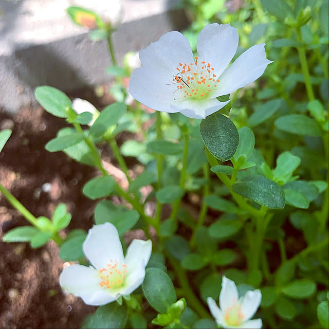 tomoさんの部屋