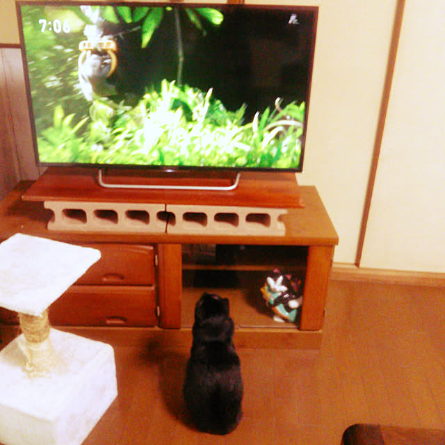 Tomopさんの実例写真