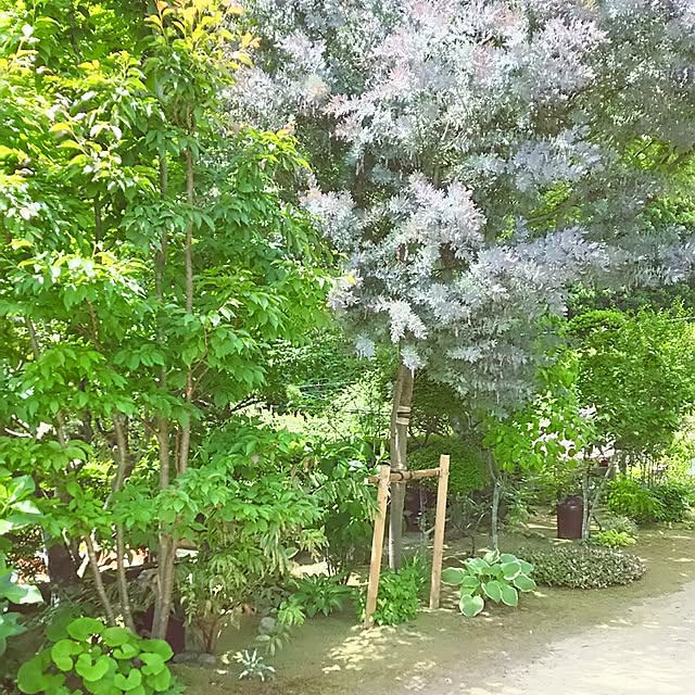arioさんの実例写真