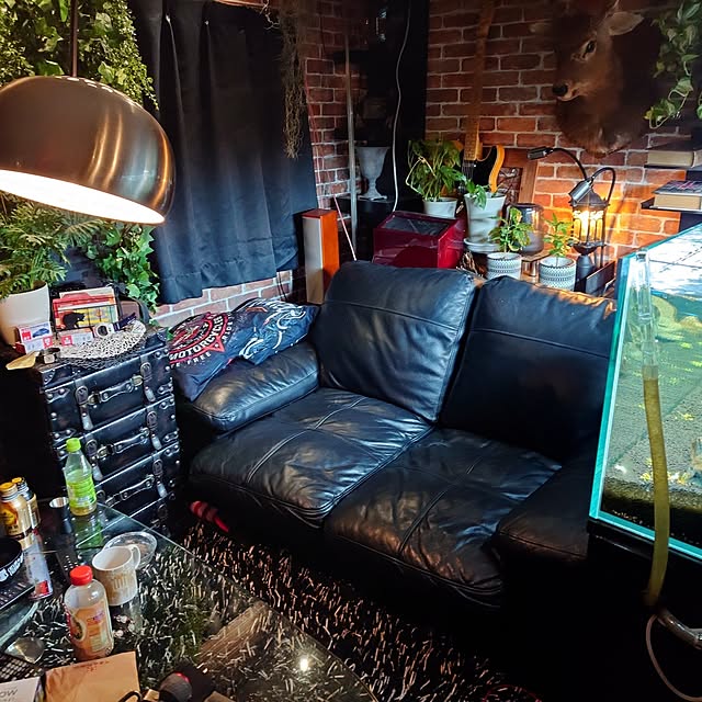 Koutaさんの部屋