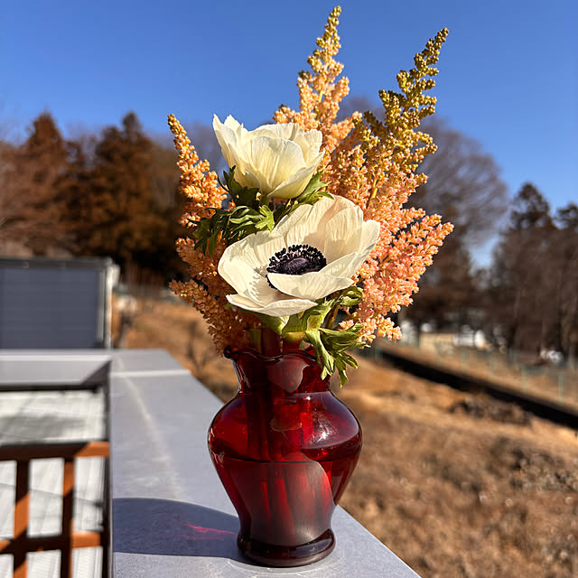 mamichopさんの部屋