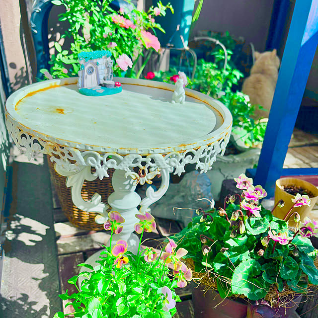 naokoさんの部屋