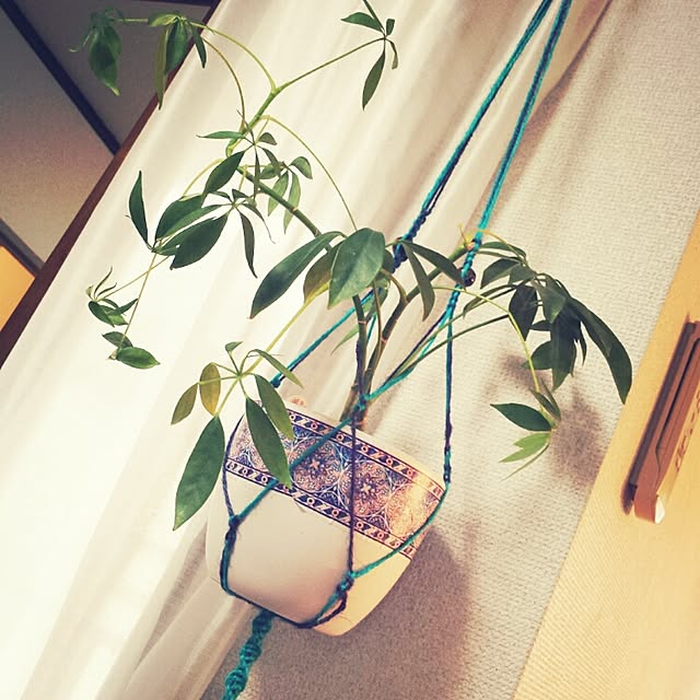 ginkoさんの実例写真