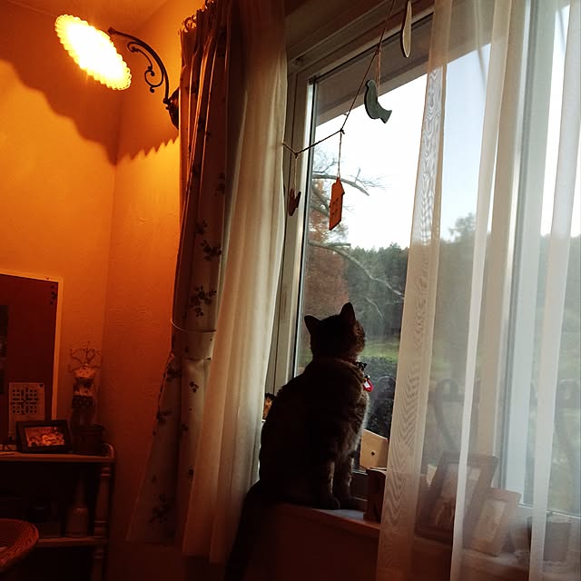 kotajiroさんの実例写真