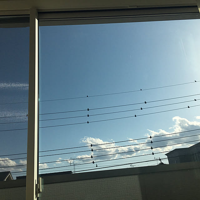 tomoさんの実例写真