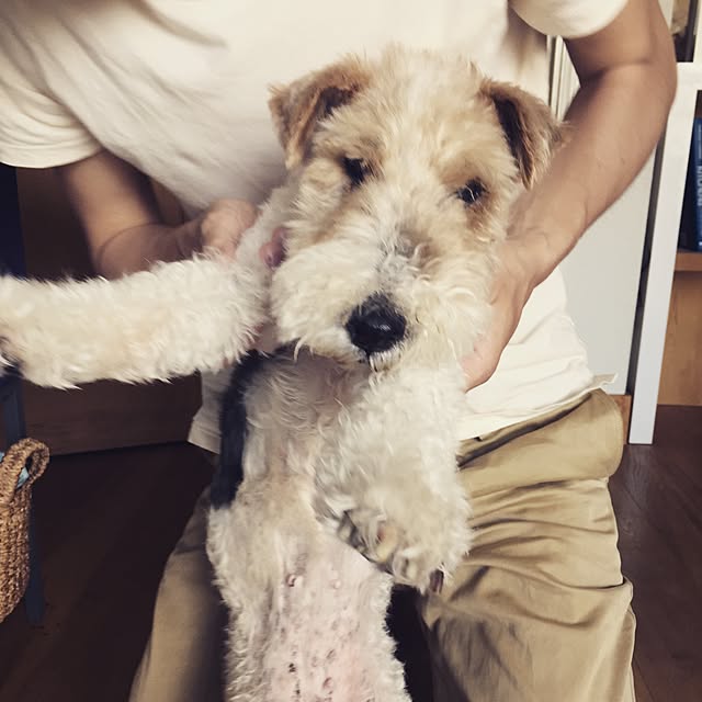 sakanakunさんの実例写真