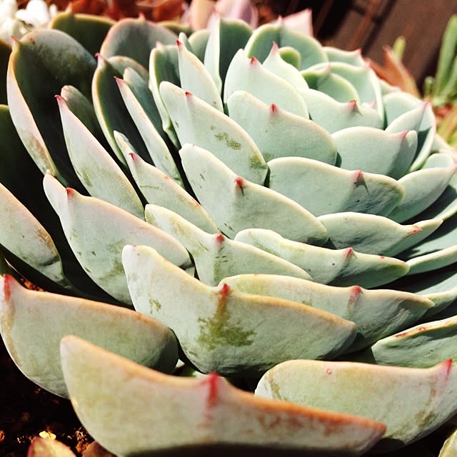 563kさんの実例写真