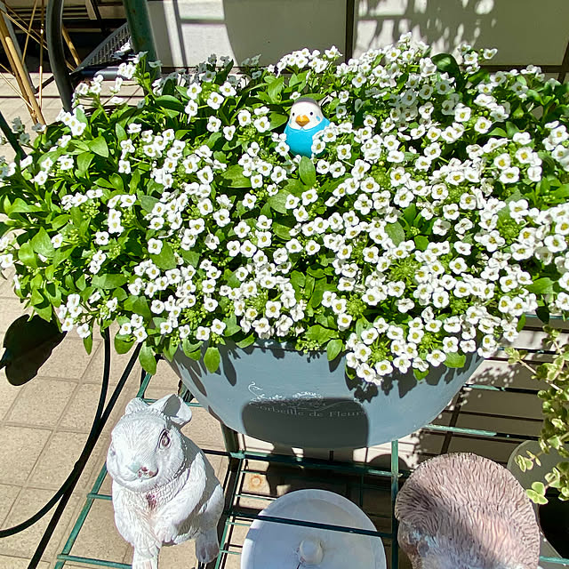 YuuKoさんの部屋