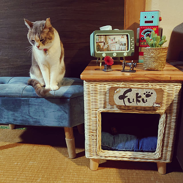 fukuさんの実例写真