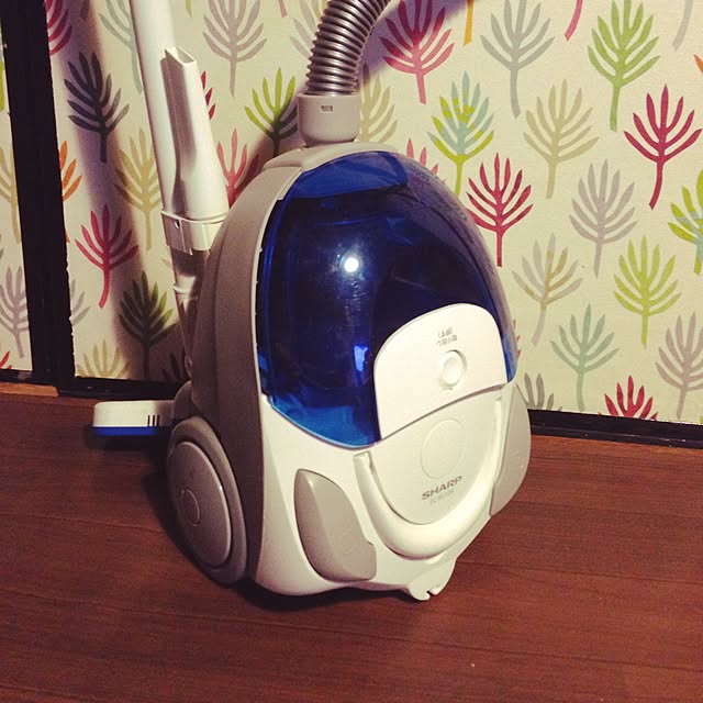 aiさんの実例写真