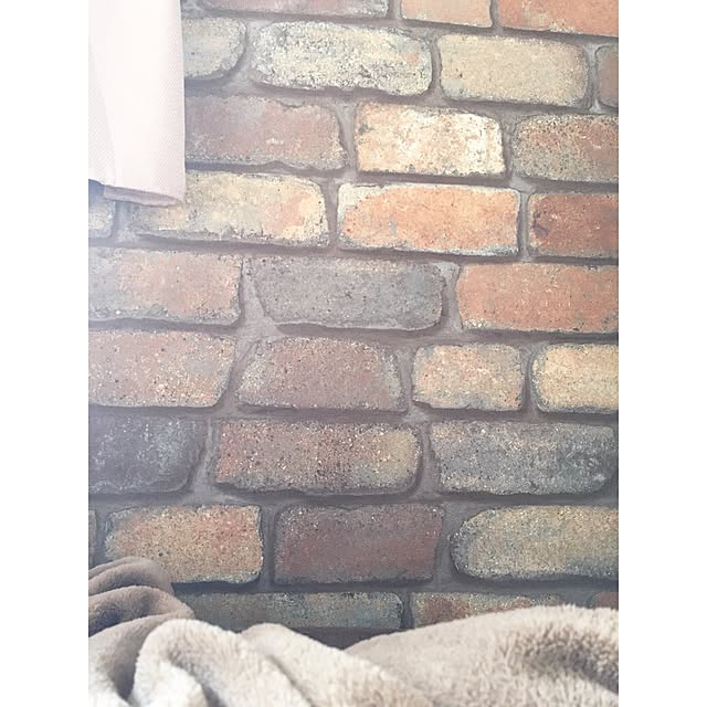 Ryoさんの実例写真