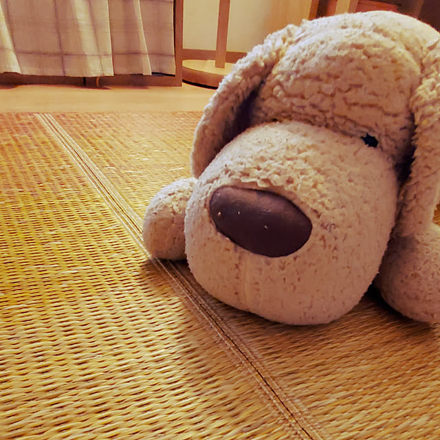 go-chanさんの実例写真