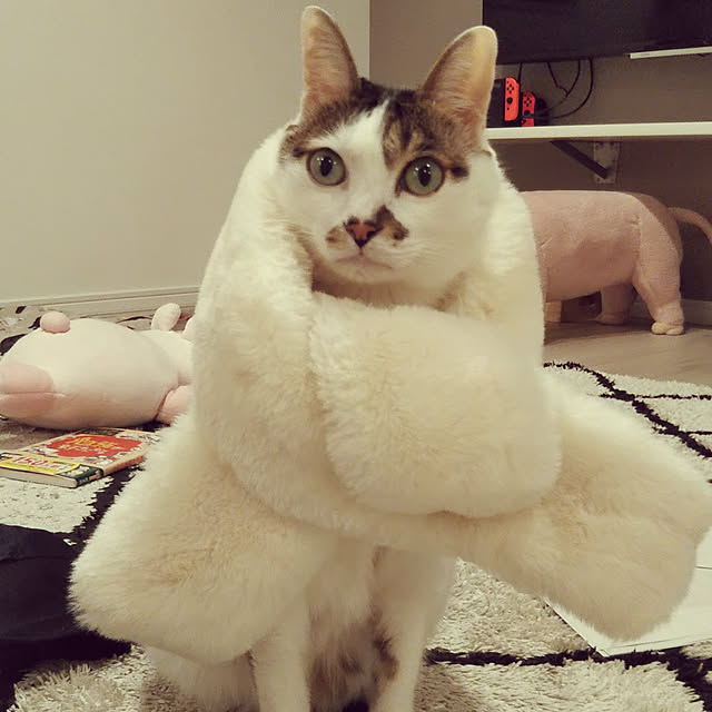 Sakasanさんの実例写真