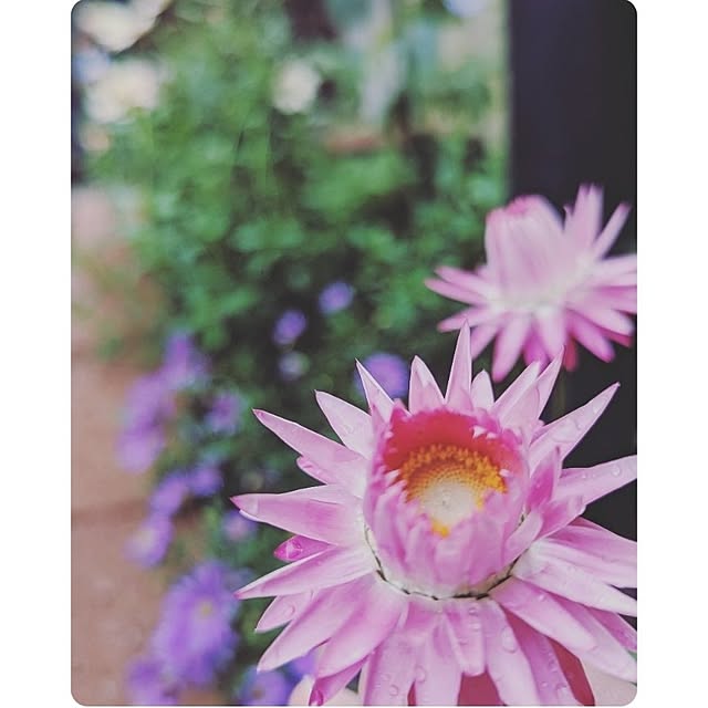 mokoさんの実例写真