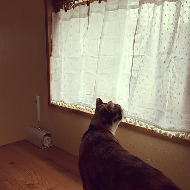mayugonさんの実例写真
