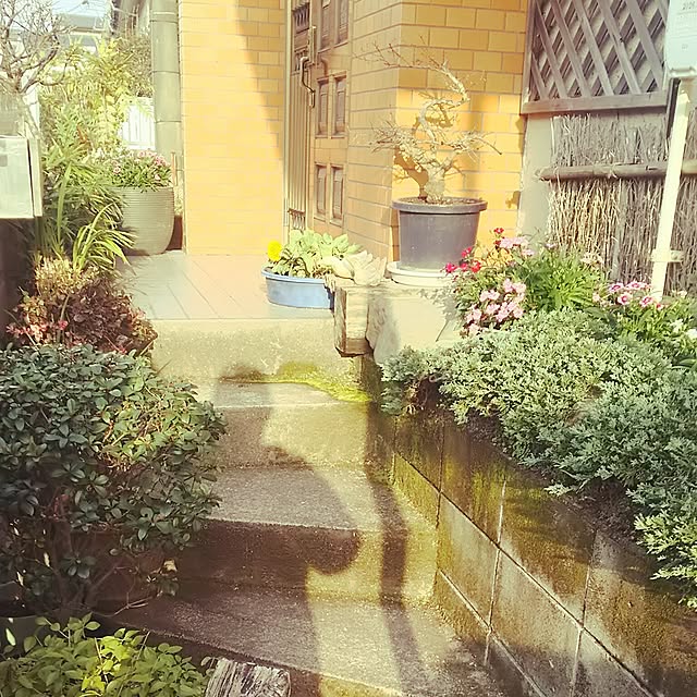 haruさんの実例写真