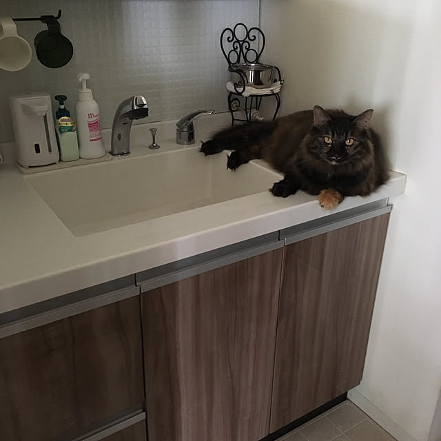 mikomaruさんの実例写真
