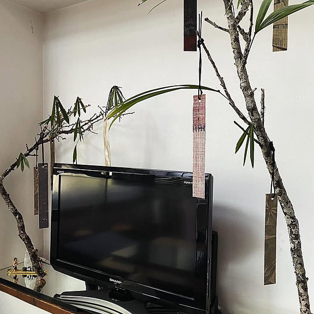 mukuさんの部屋