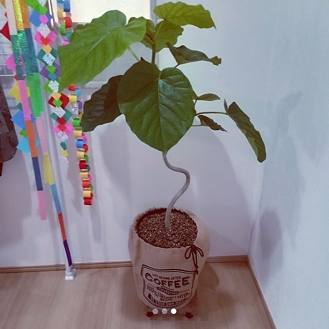 mocomocoさんの部屋