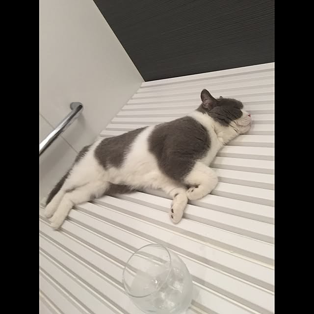 Yuriさんの実例写真