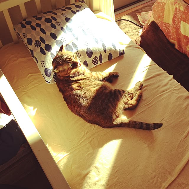 Y.Gさんの実例写真