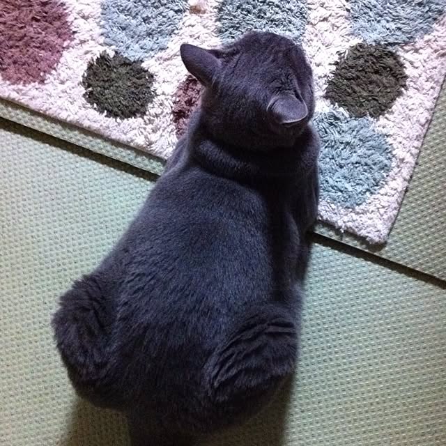 sonさんの実例写真
