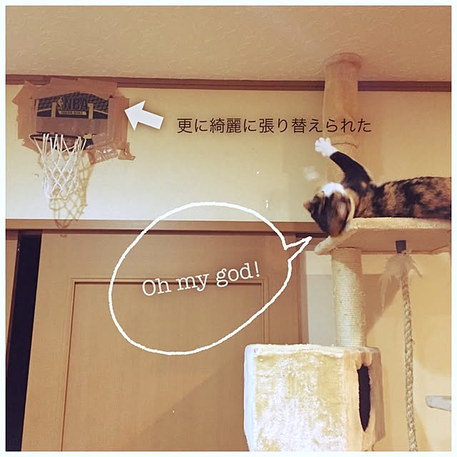 mayugonさんの実例写真