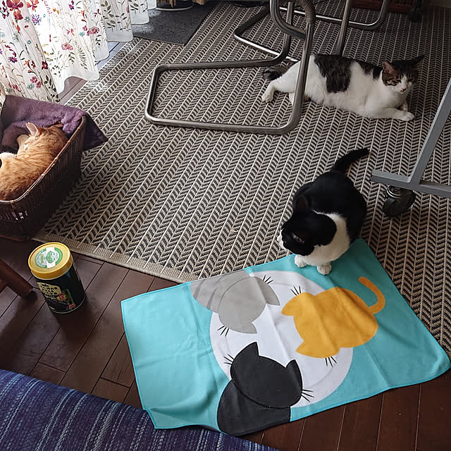 okyosan101さんの実例写真