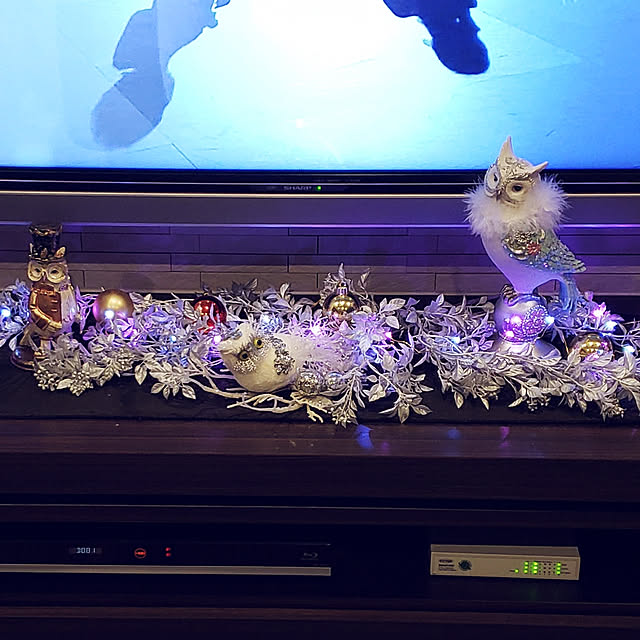 zenoさんの実例写真