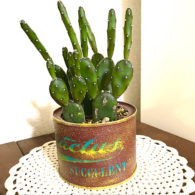多肉植物/玄関/入り口のインテリア実例 - 2021-01-10 12:23:48