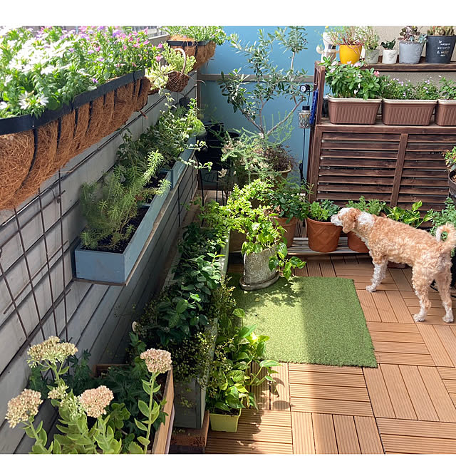 marukoさんの部屋