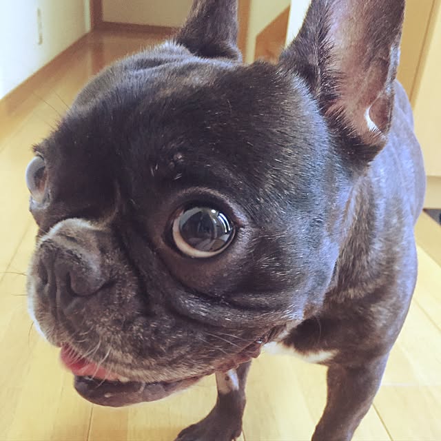 T..Nさんの実例写真