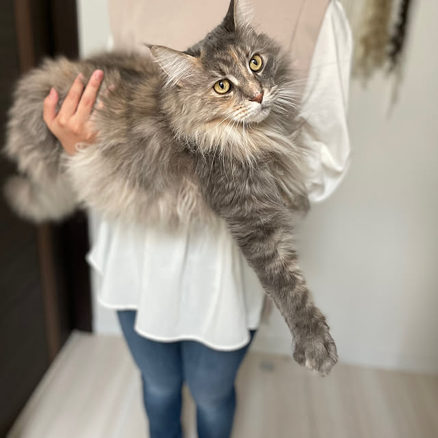 mayumiさんの部屋