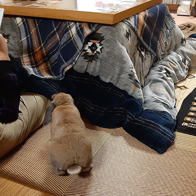 littlemomさんの実例写真