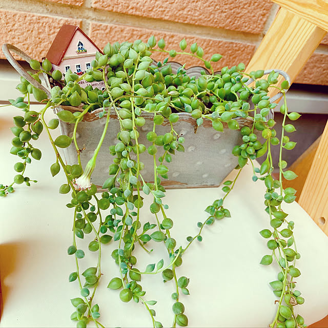 harvestさんの実例写真