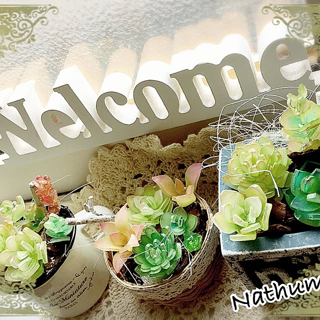棚/プラバン多肉植物/多肉寄せ植え/多肉植物/プラバン...などのインテリア実例 - 2017-01-07 23:55:58