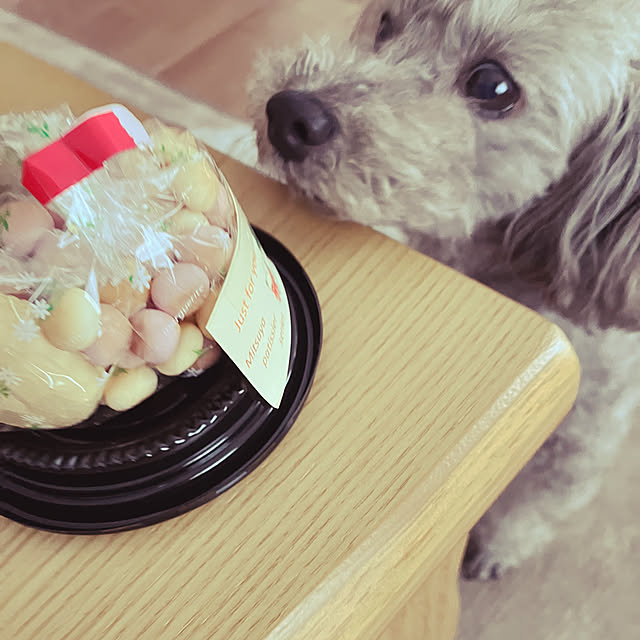 coochanさんの部屋