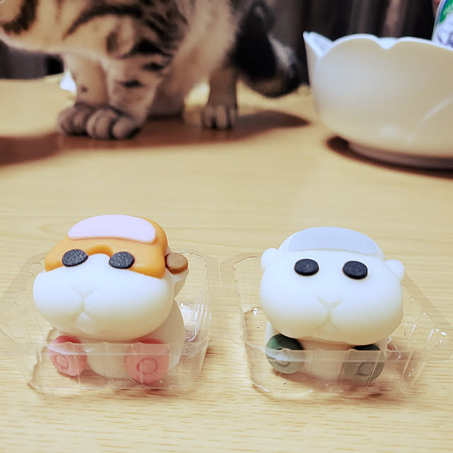 fruityanさんの実例写真